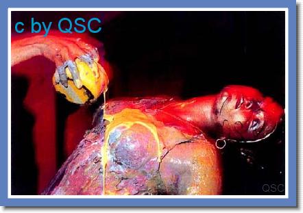 colors stripperin stripper_0000021.jpg